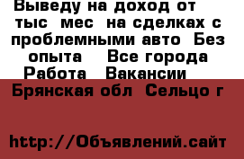 Выведу на доход от 400 тыс./мес. на сделках с проблемными авто. Без опыта. - Все города Работа » Вакансии   . Брянская обл.,Сельцо г.